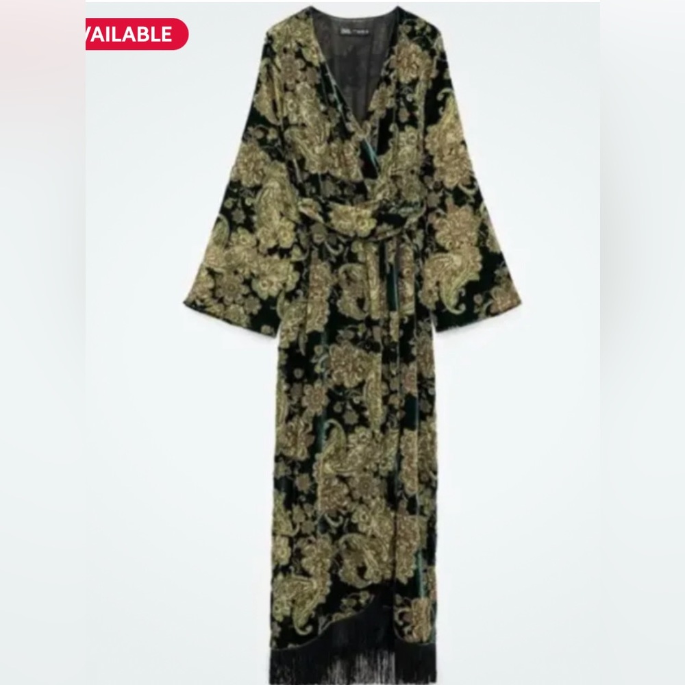 Zara FRINGED VELVET DRESS